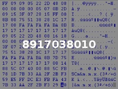 8917038010