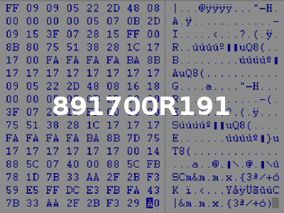 891700R191