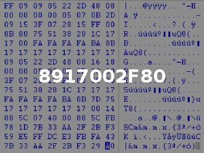 8917002F80
