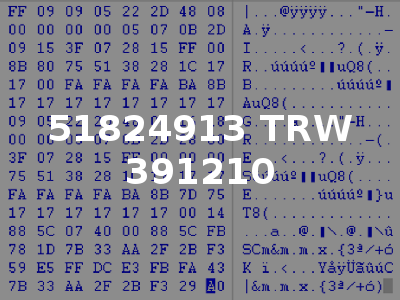 51824913 TRW 391210