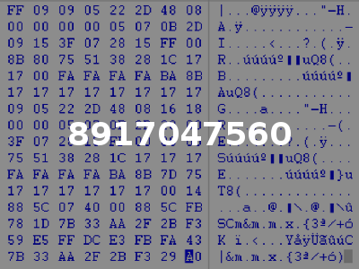 8917047560