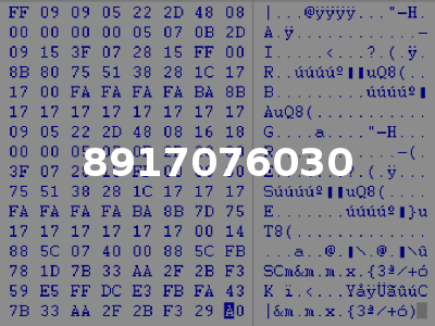 8917076030