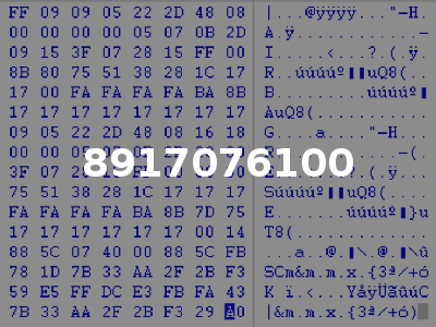 8917076100