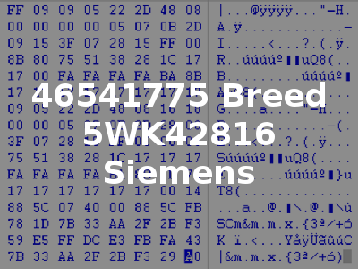 46541775 Breed 5WK42816 Siemens