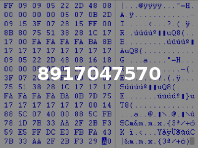 8917047570