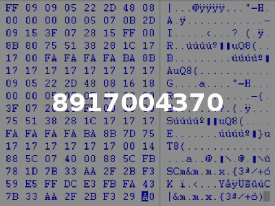 8917004370