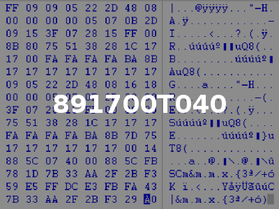 891700T040