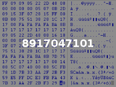 8917047101