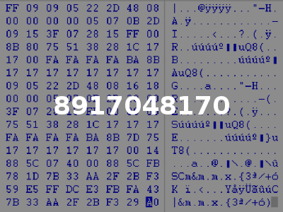 8917048170