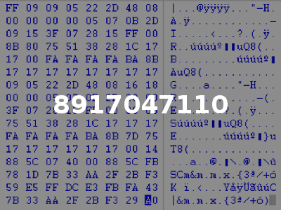 8917047110