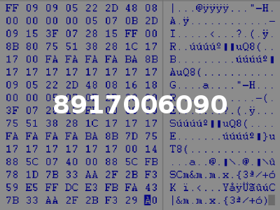 8917006090