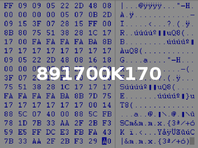 891700K170