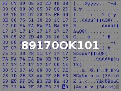 89170OK101
