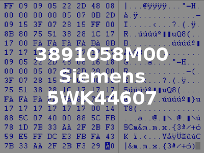 3891058M00 Siemens 5WK44607