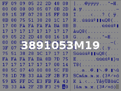 3891053M19