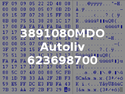 3891080MDO Autoliv 623698700