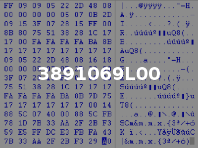 3891069L00