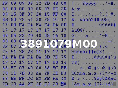 3891079M00