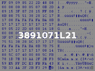 3891071L21