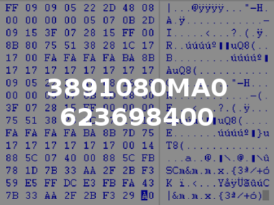 3891080MA0 623698400