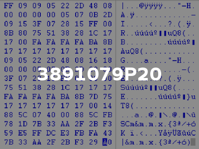 3891079P20