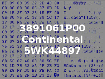 3891061P00 Continental 5WK44897