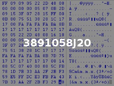 3891058J20