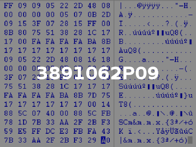 3891062P09
