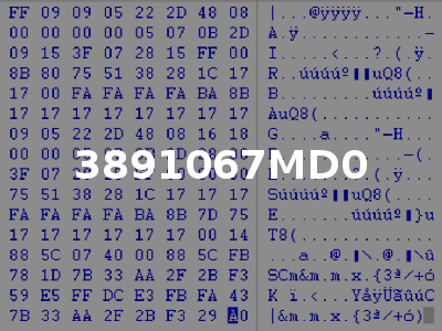 3891067MD0