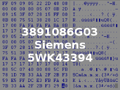 3891086G03 Siemens 5WK43394