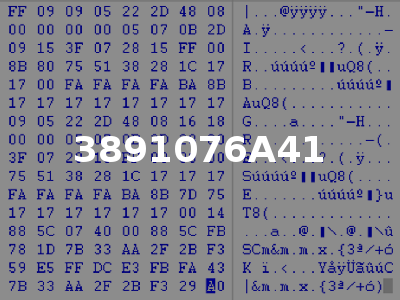 3891076A41