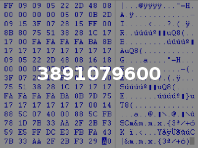 3891079600