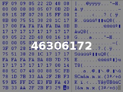 46306172
