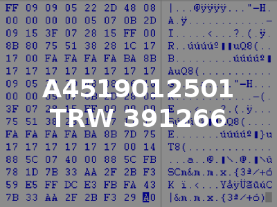 A4519012501 TRW 391266
