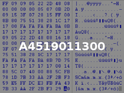 A4519011300