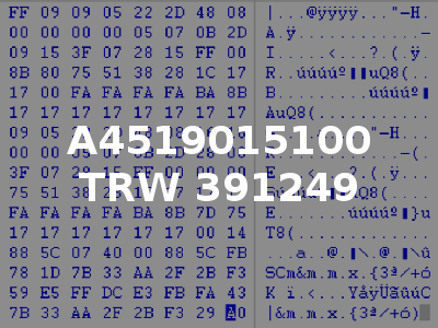 A4519015100 TRW 391249