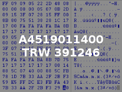 A4519011400 TRW 391246