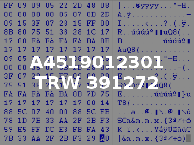 A4519012301 TRW 391272
