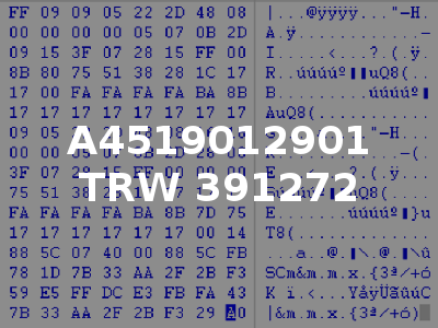 A4519012901 TRW 391272