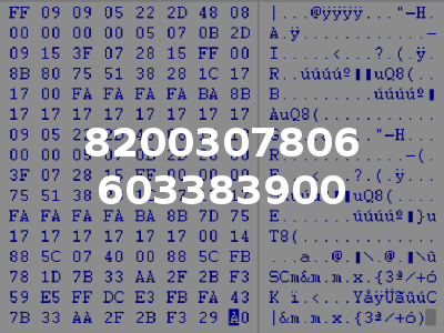 8200307806 603383900
