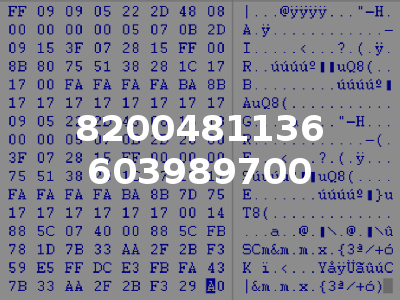 8200481136 603989700