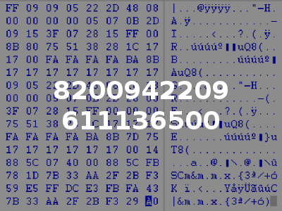 8200942209 611136500