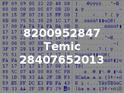 8200952847 Temic 28407652013