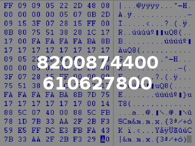 8200874400 610627800