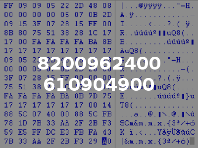 8200962400 610904900