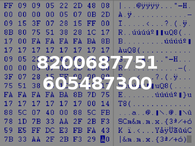 8200687751 605487300