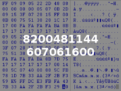 8200481144 607061600
