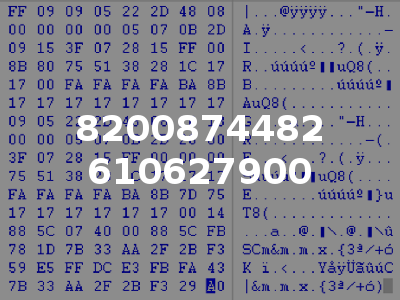 8200874482 610627900