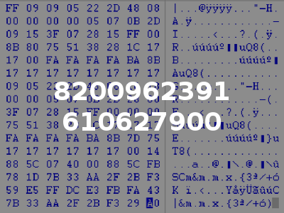 8200962391 610627900