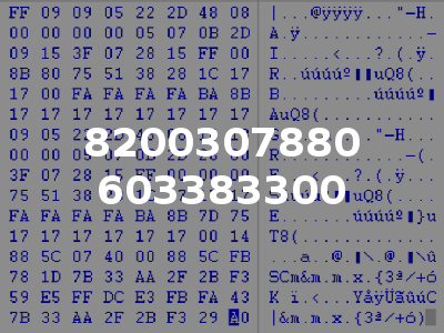 8200307880 603383300